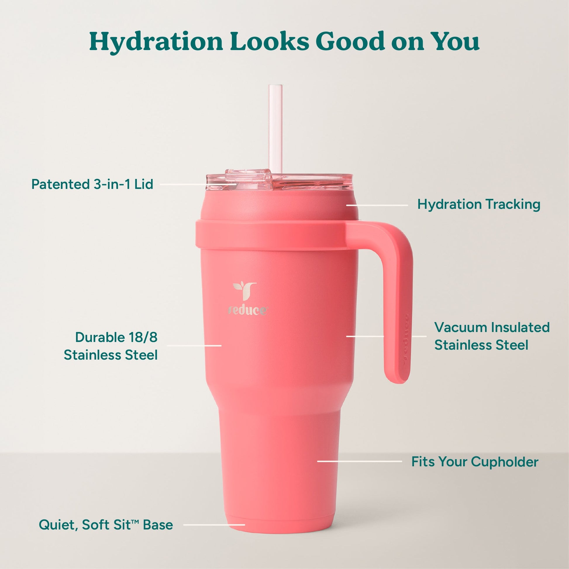 cold1-40-oz-n1 Cold1_40oz_Daiquiri_Infographic_2.jpg