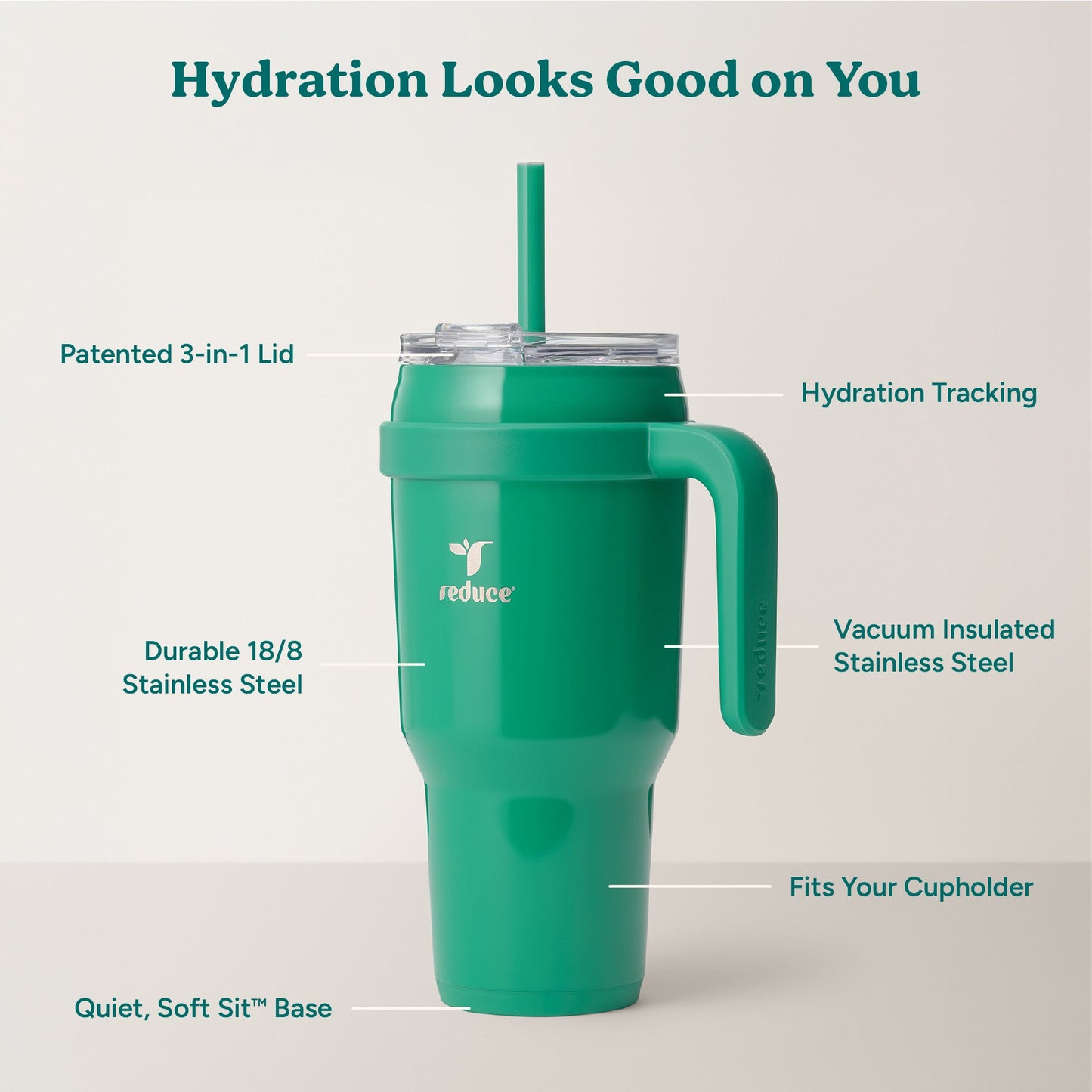 cold1-40-oz-n1 Cold1_40oz_PalmLeaf_Infographic_2.jpg