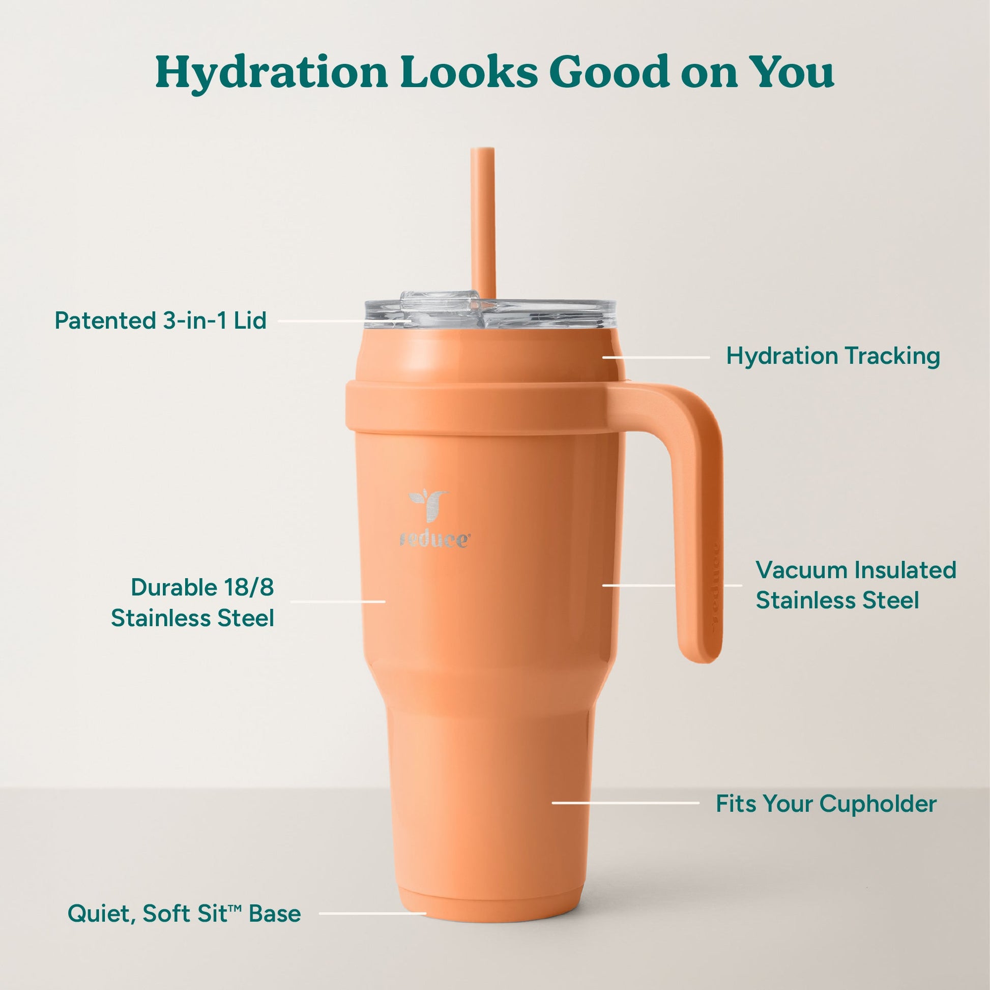 cold1-40-oz-n1 Cold1_40oz_Papaya_Infographic_2.jpg